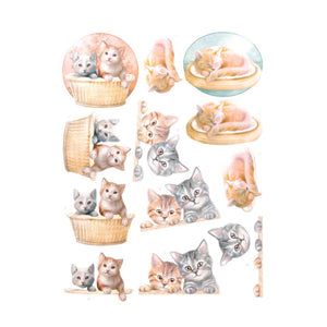 Amy Design - A4 Decoupage Sheets, Cat's World | Hobby Craft and Scrap