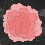Stamp & Die Set - Peaceful Peonies - Large Peony (4pc) - 98 x 97mm