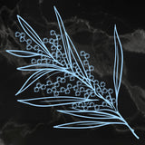 Sweeping Plains - Mini Stamp, Acacia Branch