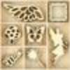 Kaisercraft Flourish Packs
