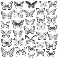 Kaisercraft Ramontique Collection - Butterflies