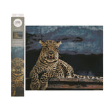 Kaiser Sparkle Kits - Cheetah