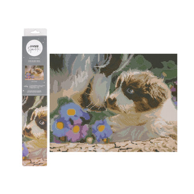 Shop by Activity &gt; Home Decor