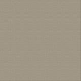 Ultimate Crafts 12x12 CARDSTOCK - SILVER STAR (10 Sheets)