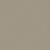 Ultimate Crafts 12x12 CARDSTOCK - SILVER STAR (10 Sheets)