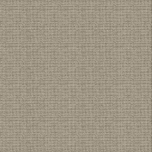 Ultimate Crafts 12x12 CARDSTOCK - SILVER STAR (10 Sheets)