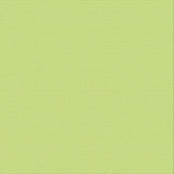 Ultimate Crafts 12x12 CARDSTOCK - MANTIS (10 Sheets)