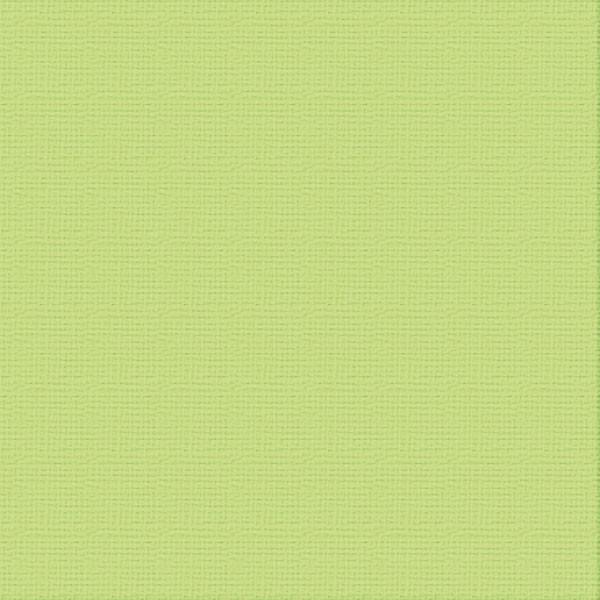 Ultimate Crafts 12x12 CARDSTOCK - MANTIS (10 Sheets)