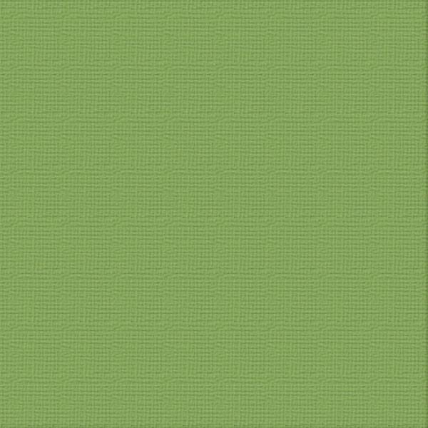 Ultimate Crafts 12x12 CARDSTOCK - JUNGLE (10 Sheets)