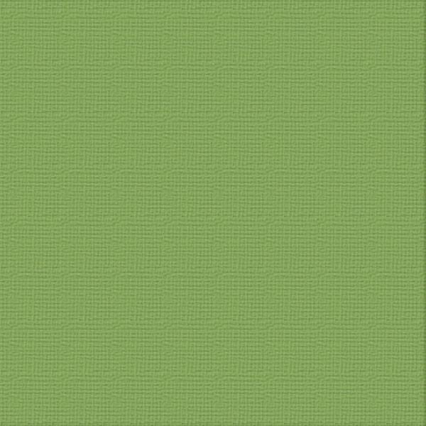 Ultimate Crafts 12x12 CARDSTOCK - JUNGLE (10 Sheets)
