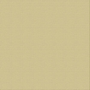 Ultimate Crafts 12x12 CARDSTOCK - DRIFTWOOD (10 Sheets)
