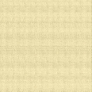 Ultimate Crafts 12x12 CARDSTOCK - KAHLUA (10 Sheets)