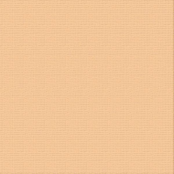 Ultimate Crafts 12x12 CARDSTOCK - CANTELAUPE (10 Sheets)