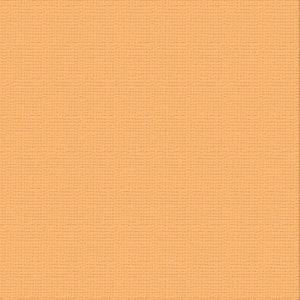 Ultimate Crafts 12x12 CARDSTOCK - TEMPTRESS (10 Sheets)
