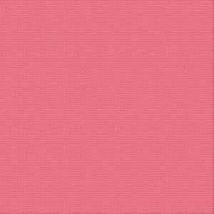 Ultimate Crafts 12x12 CARDSTOCK - RASPBERRY RUSH (10 Sheets)